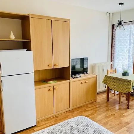Apartamento Cosy Avec Loggia - 2 Pers. - Centre-ville Et Cures A Proximite, Animaux Acceptes - Fr-1-703-172