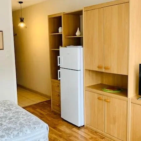 Cosy Avec Loggia - 2 Pers. - Centre-ville Et Cures A Proximite, Animaux Acceptes - Fr-1-703-172 Апартаменты Амели-ле-Бен-Палальда